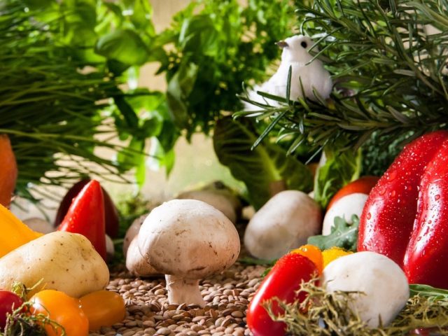 Farine bio ou conventionnelle : différences et choix santé