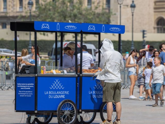 Pain complet ou pain blanc : lequel est meilleur pour la santé