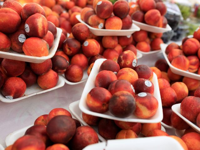 Recettes de saison à préparer cette semaine