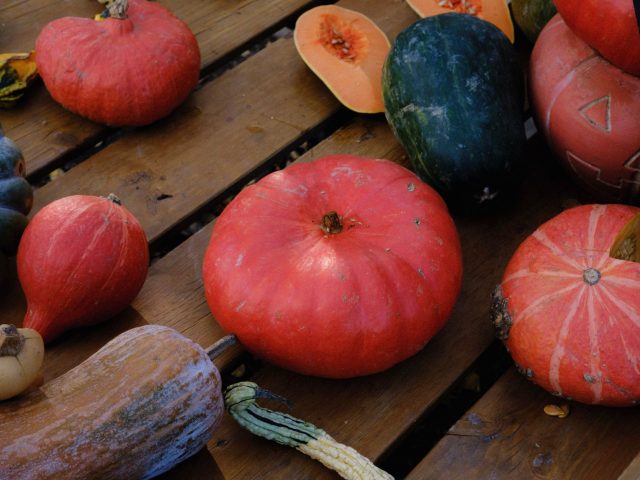 Les délices de l’automne : 24 recettes simples pour régaler vos papilles